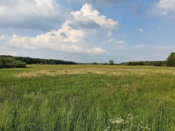 Ahausen - Wümmewiesen bei Ahausen