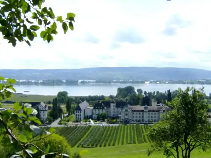 Allensbach - Hegne