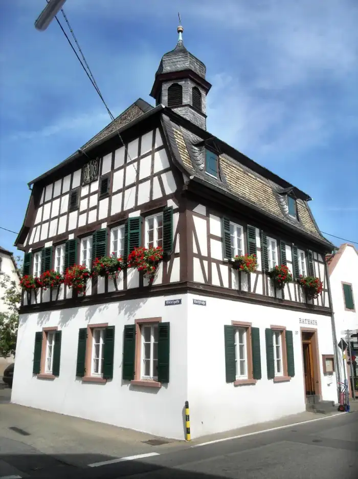 Alsheim - Alsheim- Rathaus- von Bachstraße aus 16.8.2009