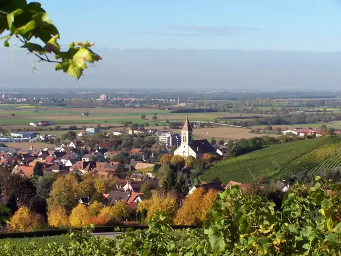 Auggen - Auggen 2004