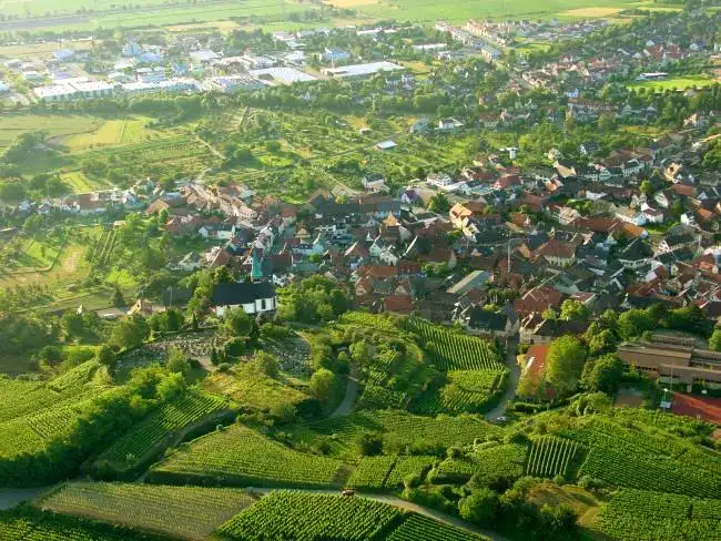 Bahlingen am Kaiserstuhl - Bahlingen 017.650
