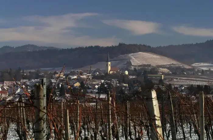Ballrechten-Dottingen - Ballrechten-Dottingen im Winter