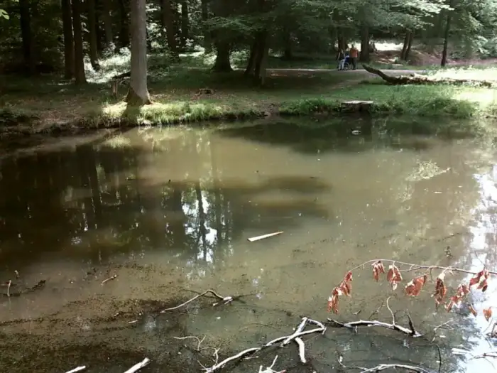 Baltmannsweiler - Schlösslesseen