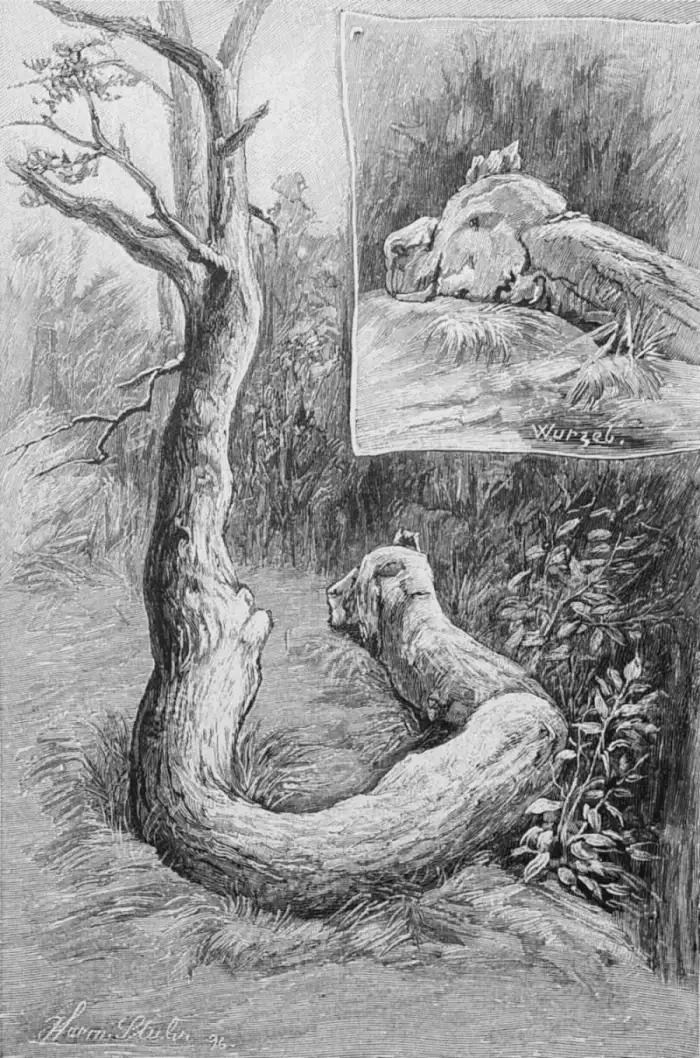 Bendestorf - Die Gartenlaube
