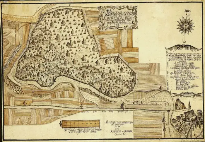 Bernstadt - Grundriß über des Johannes Bucken Wittib zu Bernstadt, Hofholz Wingischen Untertanen - LABW - Hauptstaatsarchiv Stuttgart N 13 Nr. 29