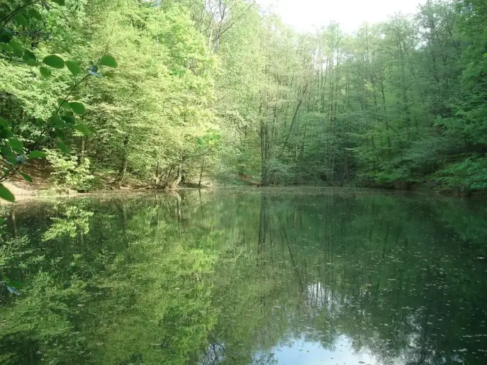 Bessenbach - Waldmichelbacher See
