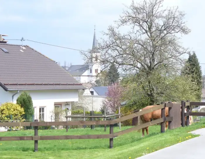 Binsfeld - Binsfeld01
