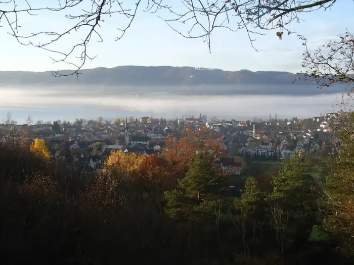 Bodman-Ludwigshafen - 05 BoLu im Nebel 11.06