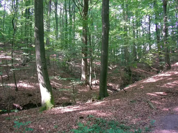 Börnsen - Escheburg - Dalbekschlucht
