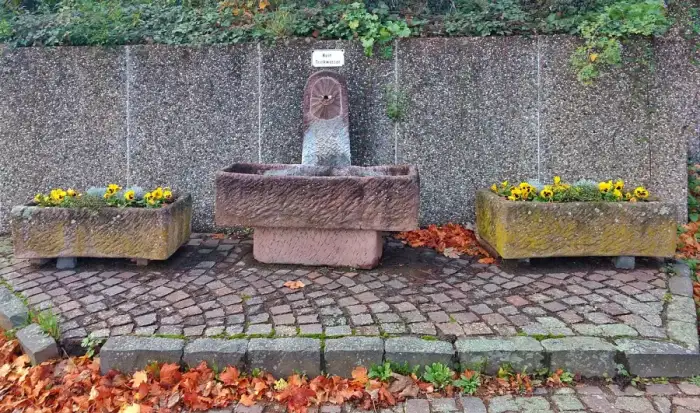 Bous - Brunnen in Bous
