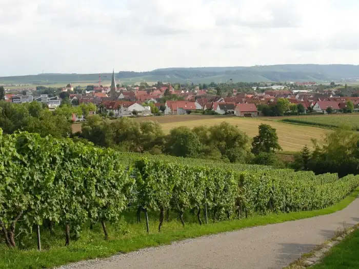 Brackenheim - Brackenheim