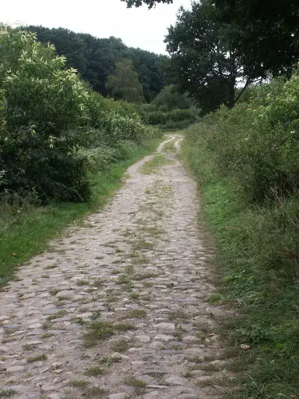 Breitenfelde - Alte Salzstrasse Breitenfelde