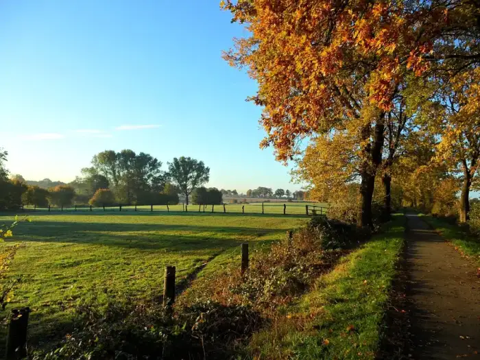 Brunsbek - Feldmark bei Brunsbek - panoramio