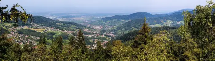 Bühlertal - Blick vom Sickenwalder Horn auf Bühlertal