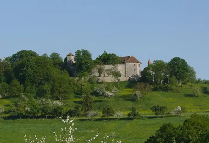 Bühlertann - Tannenburg 130508