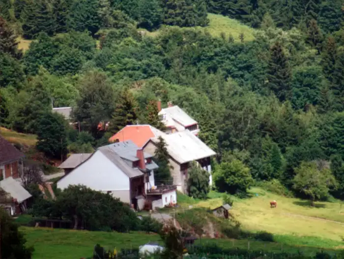 Dachsberg (Südschwarzwald) - Schwand