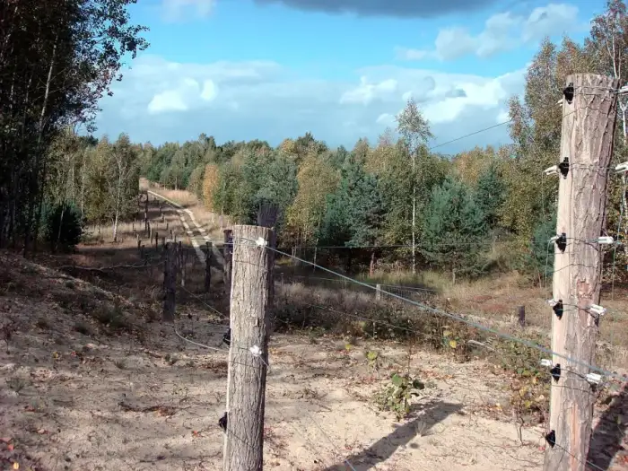 Dallgow-Döberitz - Doeberitzer heide