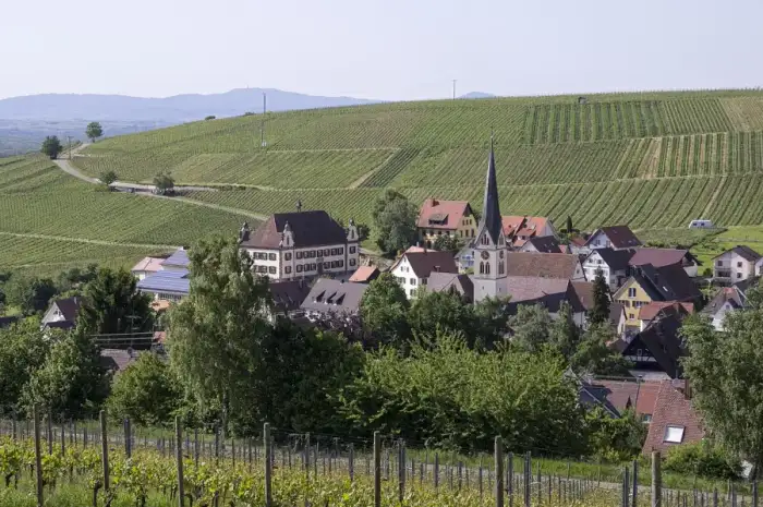 Ebringen - Ebringen jm8806
