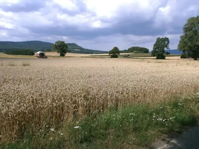Edermünde - Chattengauweg-01