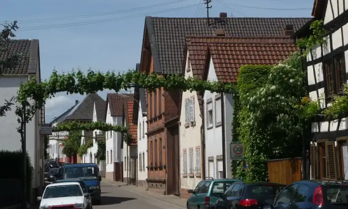 Ellerstadt - Ellerstadt 07