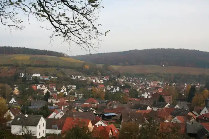Elsenfeld - Blick über Rück-hinten-und Schippach-vorne