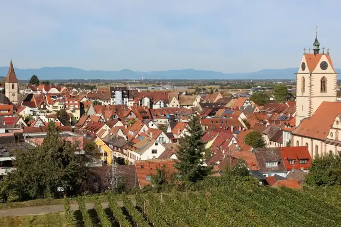 Endingen am Kaiserstuhl - EndingenAmKaiserstuhlPanorama5