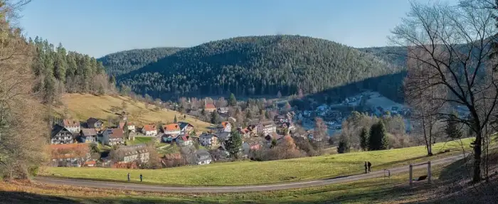 Enzklösterle - Blick über Enzklösterle