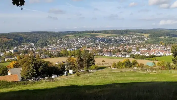 Erbach - Erbach (Odenwald) von Osten 2022a
