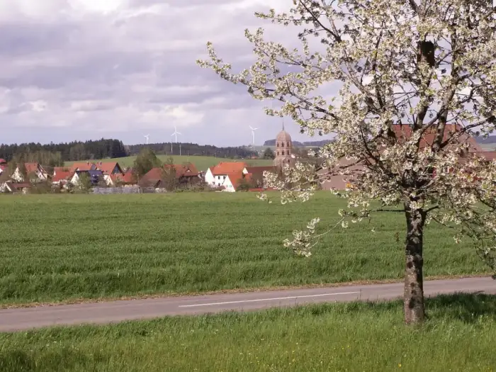 Eschbronn - Blick auf Mariazell im Schwarzwald