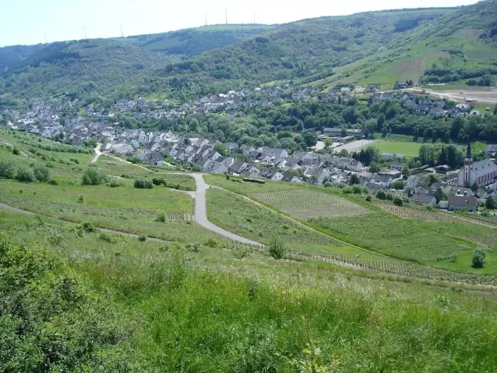 Fell - Fell (Mosel)