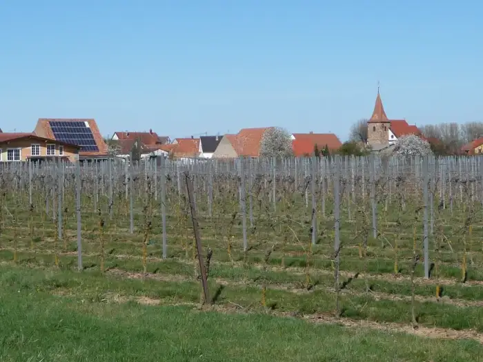 Freimersheim (Pfalz) - Freimersheim 02