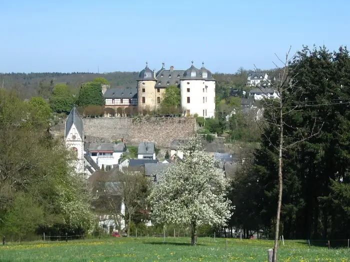 Gemünden - Schloss-gemünden09