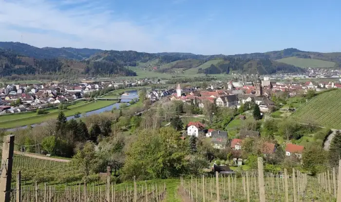 Gengenbach - Gengenbach Ansicht West