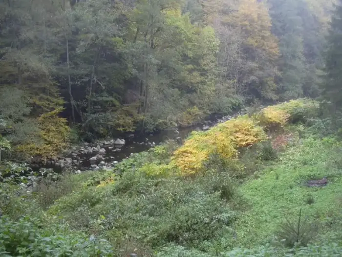 Görwihl - AlbTiefenstein
