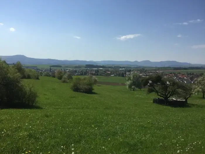 Grosselfingen - Grosselfingen Panorama