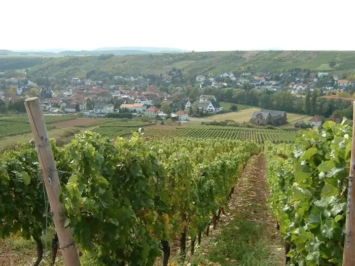 Guldental - Ansicht Guldental