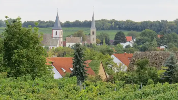 Gundersheim - Gundersheim, AZ v N 01