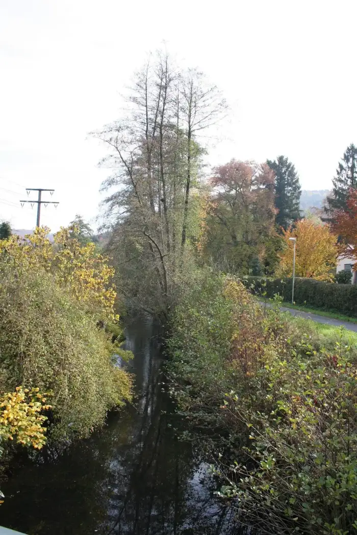 Heimbuchenthal - Lauf der Elsava zwischen Rück-links- und Schippach-rechts