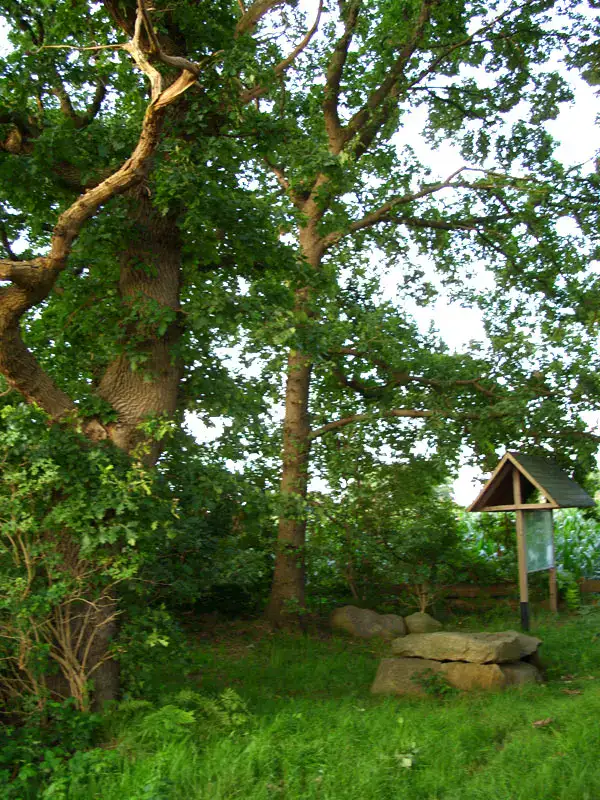 Heinbockel - Hagenah-Steinkistengrab-4