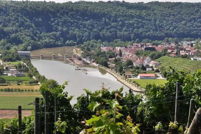 Hessigheim - Die Staustufe des Neckar bei Hessigheim