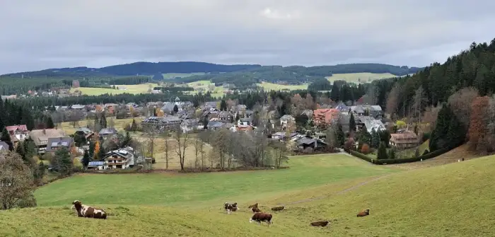 Hinterzarten - Schwarzwald Hinterzarten 01