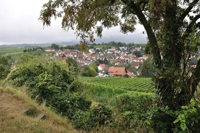 Ilbesheim bei Landau in der Pfalz - Ilbesheim 031