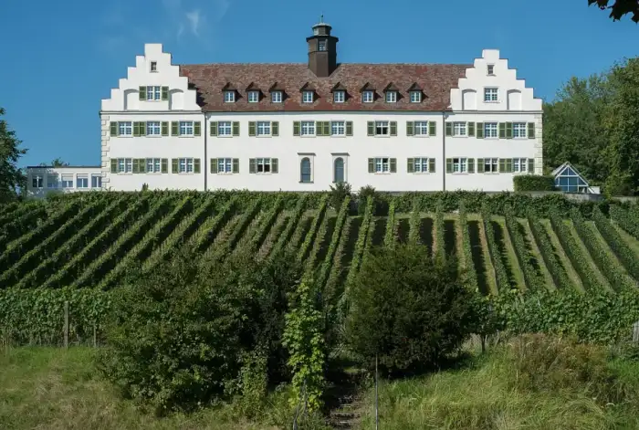 Immenstaad am Bodensee - Immenstaad-5033
