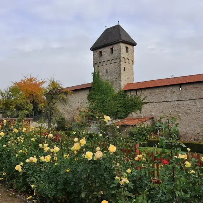 Kirchheimbolanden - KirchheimbolandenGrauerTurm