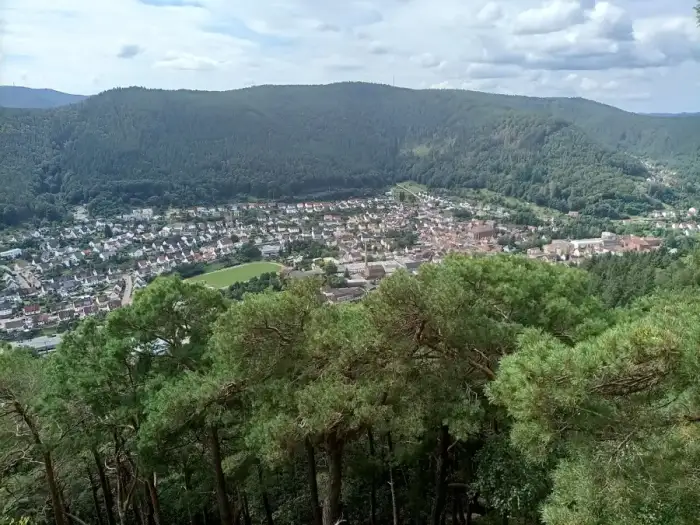 Lambrecht (Pfalz) - 20240808 Blick auf Lambrecht3