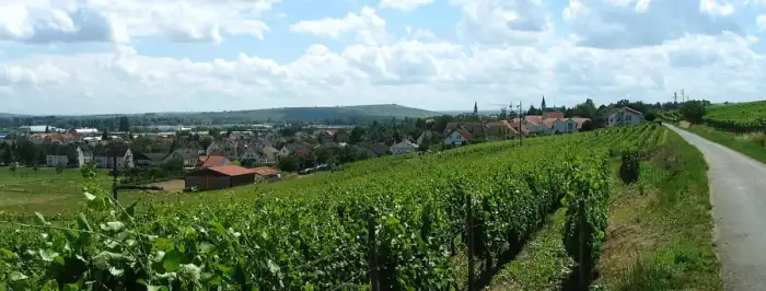 Langenlonsheim - Langenlonsheim03