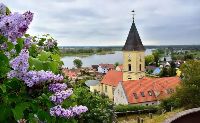 Lebus - Lebus - Stadt des Flieders (MOL Brandenburg)