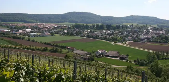Lehrensteinsfeld - Lehrensteinsfeld von Nordosten 20070519
