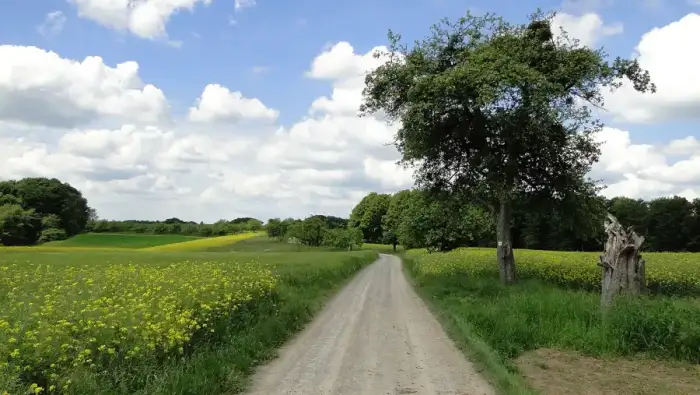 Leidersbach - Vorspessart