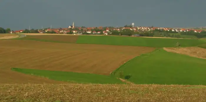 Martinshöhe - Martinshoehegross